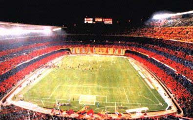 campnou1.jpeg