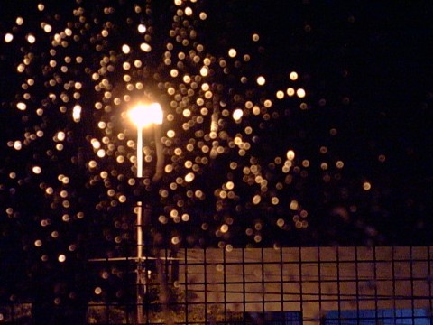 Tormenta desde mi ventana